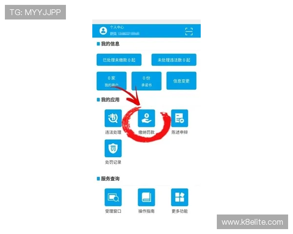 K8旗舰登录操作流程详解,助你轻松实现平台快速访问
